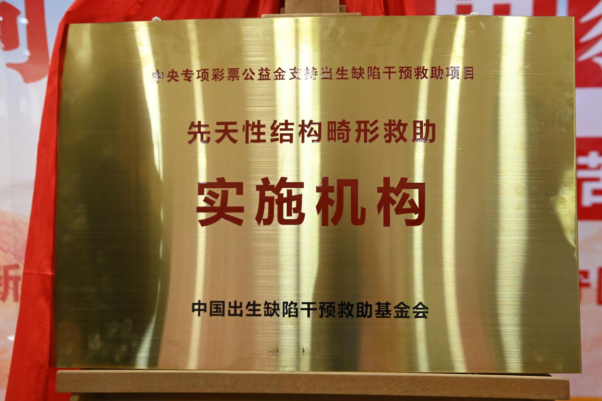 结构畸形铜牌.jpg